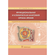 Функциональная и клиническая анатомия органа зрения Функциональная и клиническая анатомия органа зрения